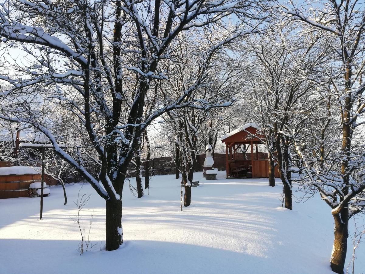 Drevenica Silvia Villa Liptovský Mikuláš Exterior foto